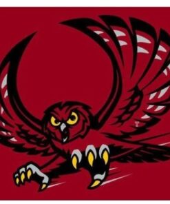 Temple Owls Club Sport Flag 3X5ft Banner USA Polyester with 2 Brass Grommets