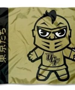 UCF Knights Yellow Club Flag 3X5ft Banner USA Polyester with 2 Brass Grommets