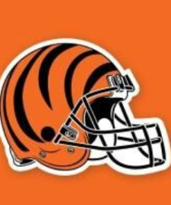 Cincinnati Bengals Flag 3x5ft Banner Polyester American Football bengals001