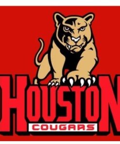 Houston Cougars Helmet Red USA Flag 3X5ft Banner Polyester with 2 Brass Grommets