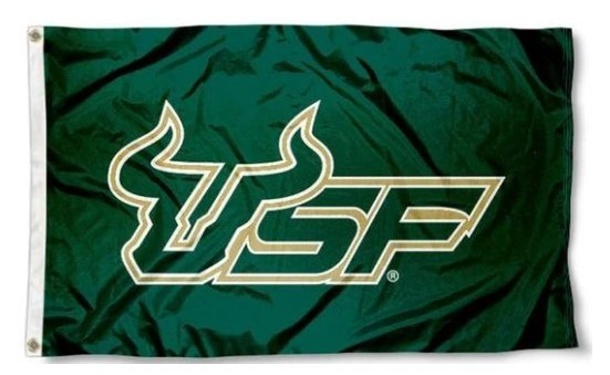 South_Florida_Bulls_Green_USA_Flag_3X5ft_Banner_USA_Polyester_with_2_Brass_Grommets.jpg