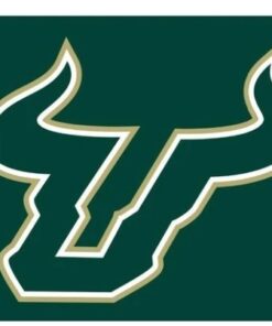 South Florida Bulls USA Sport Flag 3X5ft Banner USA Polyester 2 Brass Grommets