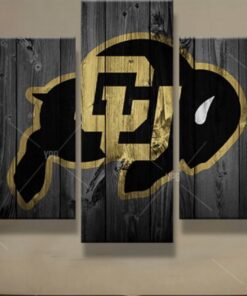 No Frame Colorado Buffalos college Barn wood style Canvas Home Decor