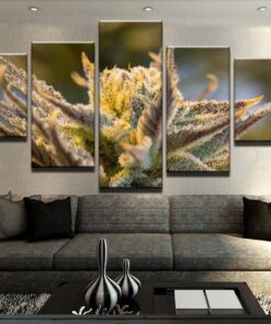Marijuana Sticky Buds Cannibas Canvas Wall Art Print Home Decor 5 Piece Wildlife