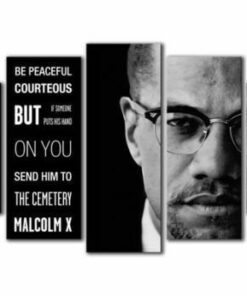 No Frame Malcolm X Quote Five Piece Canvas Multi Panel Home Decor Art 5