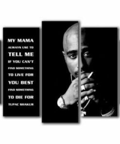No Frame Tupac Shakur Rapper Quote Five Piece Canvas Multi Panel Home Decor Art 5
