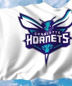 Charlotte Hornets Custom Flag 3X5Ft Polyester Banner USA Digital Print