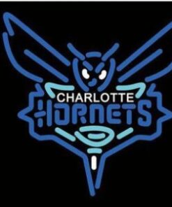 Charlotte Hornets Custom US Flag 3X5Ft Polyester Banner USA Digital Print