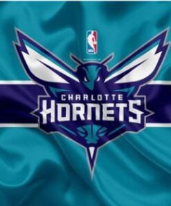 Charlotte Hornets Sport Custom US Flag 3X5Ft Polyester Banner USA Digital Print