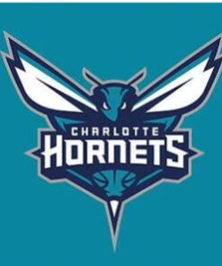 Charlotte Hornets Basketball Custom US Flag 3X5Ft Polyester Banner USA Digital Print