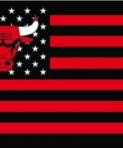 Chicago Bulls Flag Star and Stripe Flag 3X5Ft Polyester Banner USA Digital Print