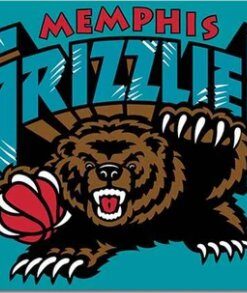 Memphis Grizzlies Flag 3X5Ft Polyester Banner USA Digital Print