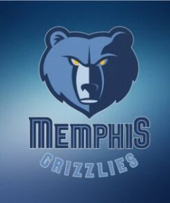 Memphis Grizzlies US Flag 3X5Ft Polyester Banner USA Digital Print