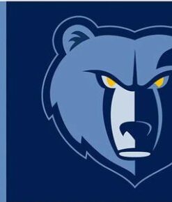 Memphis Grizzlies Team US Flag 3X5Ft Polyester Banner USA Digital Print