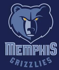 Memphis Grizzlies Custom Flag 3X5Ft Polyester Banner USA Digital Print