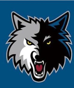 Minnesota Timberwolves Blue Flag 3X5Ft Polyester Banner USA Digital Print