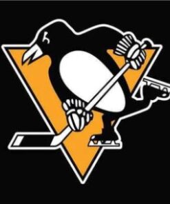 Pittsburgh Penguins Flag 3X5Ft Polyester Digital Print Banner USA