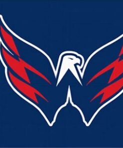 Washington Capitals Custom Flag 3X5Ft Polyester Digital Print Banner USA