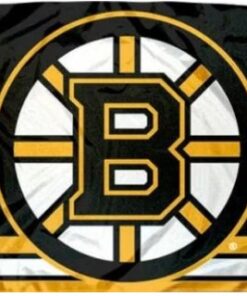 Boston Bruins Column Flag 3X5Ft Polyester Digital Print Banner USA
