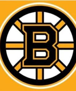 Boston Bruins Yellow Flag 3X5Ft Polyester Digital Print Banner USA