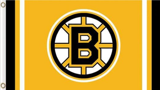 Boston Bruins Custom Flag 3X5Ft Polyester Digital Print Banner USA