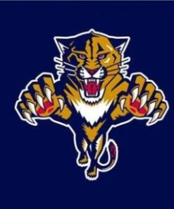 Florida Panthers Team Blue Flag 3X5Ft Polyester Digital Print Banner USA