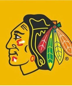 Chicago Blackhawks Custom Flag 3X5Ft Polyester Digital Print Banner USA
