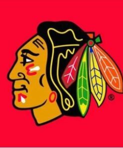 Chicago Blackhawks Custom Red Flag 3X5Ft Polyester Digital Print Banner USA