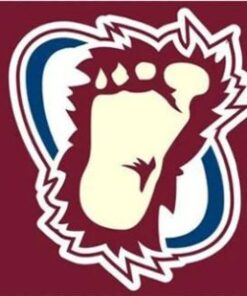 Colorado Avalanche Flag 3X5Ft Polyester Digital Print Banner USA