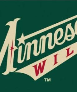 Minnesota Wild US Flag 3X5Ft Polyester Digital Print Banner USA