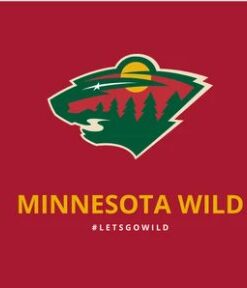 Minnesota Wild Team Flag 3X5Ft Polyester Digital Print Banner USA