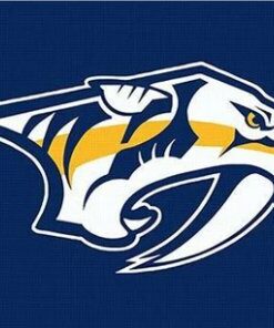 Nashville Predators Custom Flag 3X5Ft Polyester Digital Print Banner USA