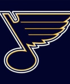 St. Louis Blues Team Flag 3X5Ft Polyester Digital Print Banner USA