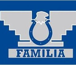 Indianapolis Colts Familia Flag 3X5 Ft Polyester Banner USA 90x150cm