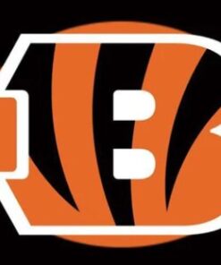Cincinnati Bengals Black Flag 3X5 Ft Polyester Banner USA 90x150cm