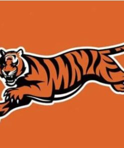 Cincinnati Bengals National Flag 3X5 Ft Polyester Banner USA 90x150cm