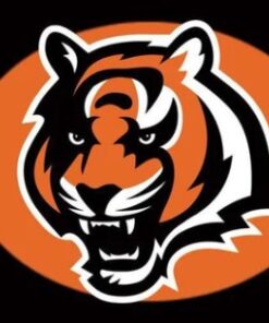 Cincinnati Bengals Football Flag 3X5 Ft Polyester Banner USA 90x150cm
