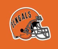 Cincinnati Bengals Helmet Flag 3X5 Ft Polyester Banner USA 90x150cm