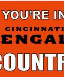 Cincinnati Bengals US Flag 3X5 Ft Polyester Banner USA 90x150cm