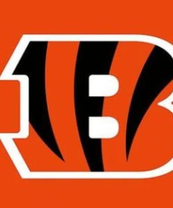 Cincinnati Bengals Logo Two Strip Flag 3X5 Ft Polyester Banner USA 90x150cm