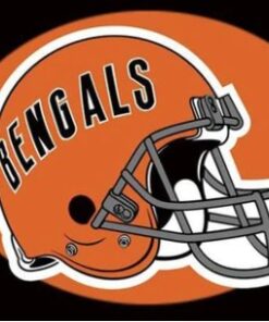 Cincinnati Bengals Team Flag 3X5 Ft Polyester Banner USA 90x150cm