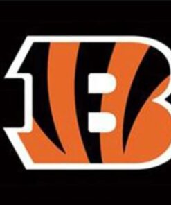 Cincinnati Bengals Sport Flag 3X5 Ft Polyester Banner USA 90x150cm