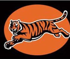 Cincinnati Bengals Club Flag 3X5 Ft Polyester Banner USA 90x150cm
