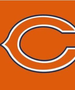 Chicago Bears Logo Two Strip Team Flag 3X5 Ft Polyester Banner USA 90x150cm