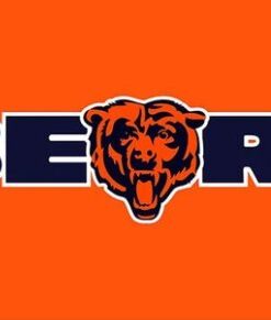 Chicago Bears Orange Flag 3X5 Ft Polyester Banner USA 90x150cm