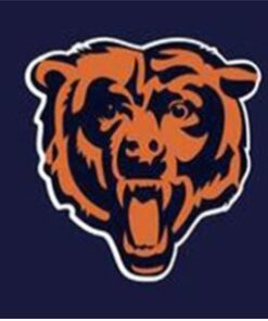 Chicago Bears National Flag 3X5 Ft Polyester Banner USA 90x150cm