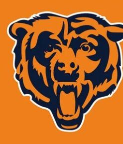 Chicago Bears Orange Flag 3X5 Ft Polyester Banner USA 90x150cm