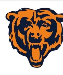Chicago Bears White Flag 3X5 Ft Polyester Banner USA 90x150cm