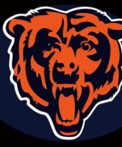 Chicago Bears Team US Flag 3X5 Ft Polyester Banner USA 90x150cm