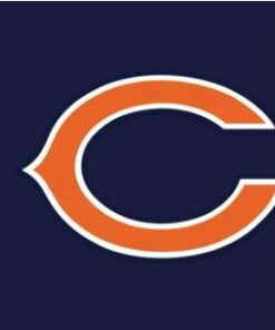 Chicago Bears Team Sport Flag 3X5 Ft Polyester Banner USA 90x150cm
